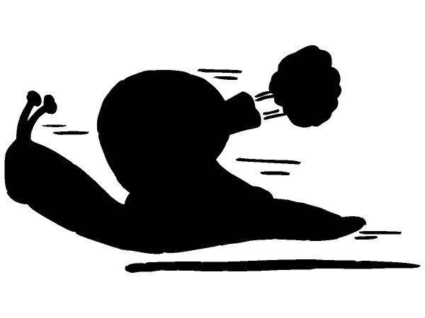 Животные 617