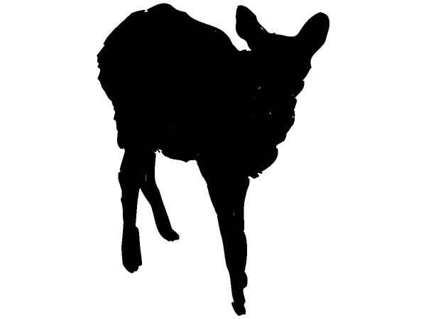 Животные 208