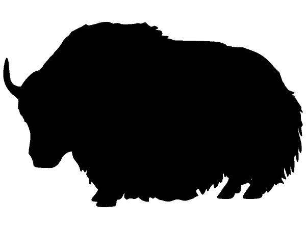 Животные 2380 Животные 2380