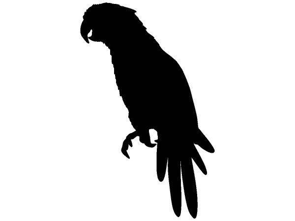 Животные 3313 Животные 3313