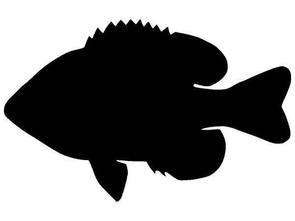 Животные 2228 Животные 2228