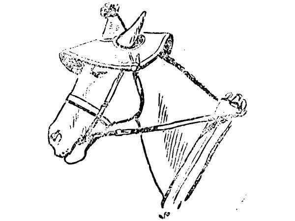 Животные 3811 Животные 3811