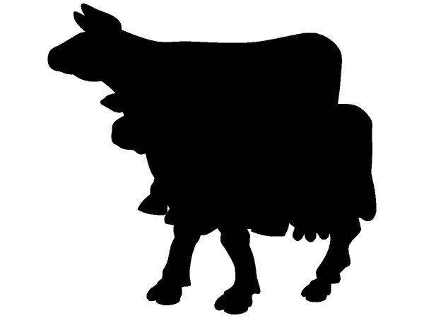 Животные 3613 Животные 3613