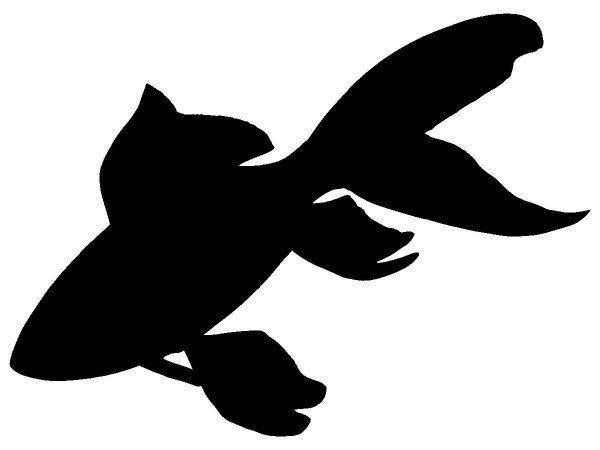 Животные 2121 Животные 2121