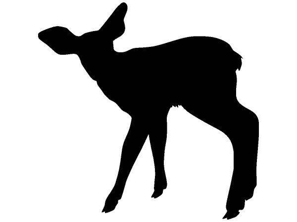 Животные 158