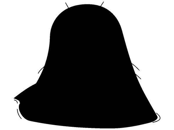 Животные 1307 Животные 1307