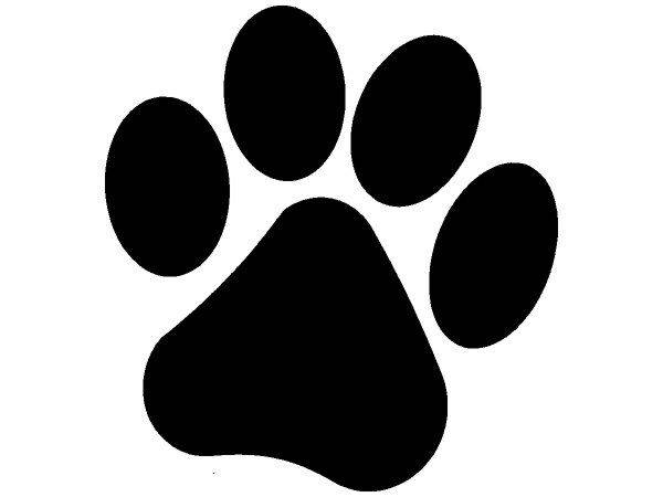 Животные 2204 Животные 2204