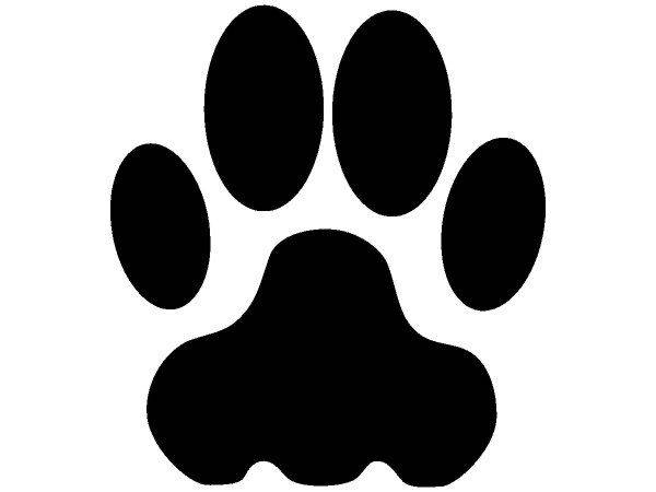 Животные 1408