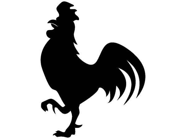 Животные 1189