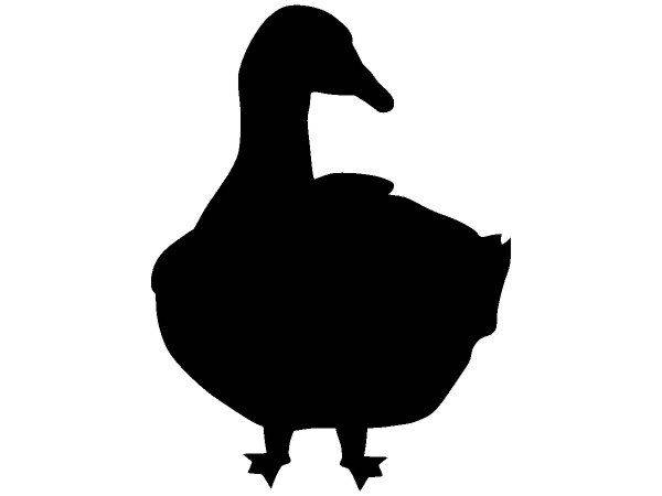 Животные 1652