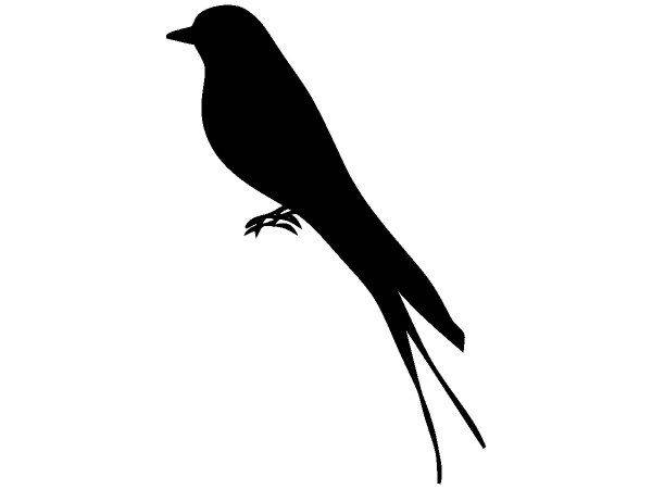 Животные 1661