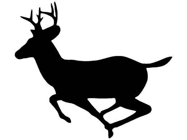 Животные 2580