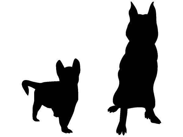 Животные 3408 Животные 3408