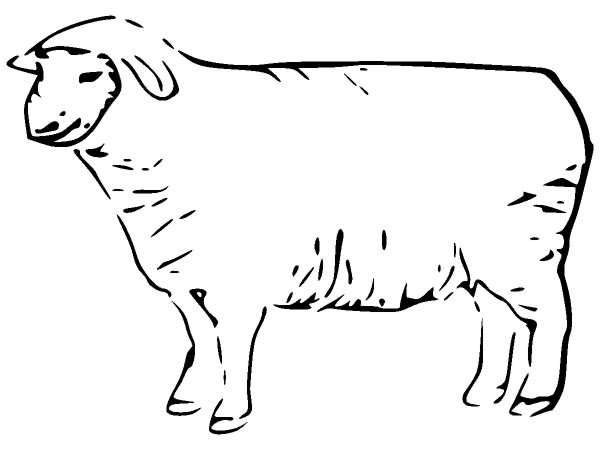 Животные 291