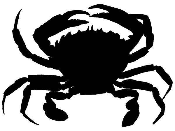 Животные 250