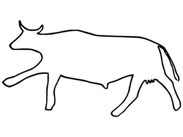 Животные 2604