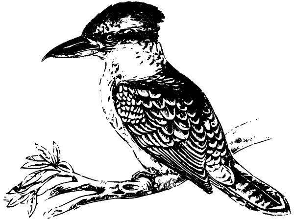 Животные 2796