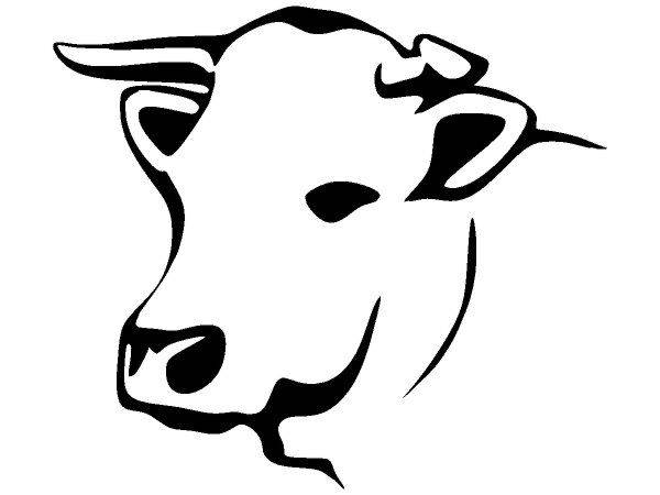 Животные 3206