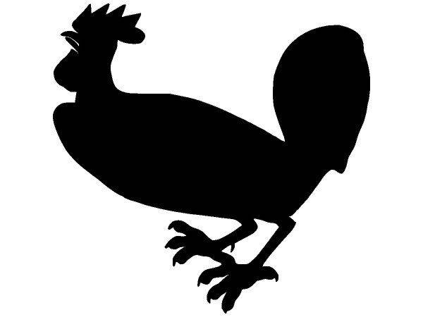 Животные 2624