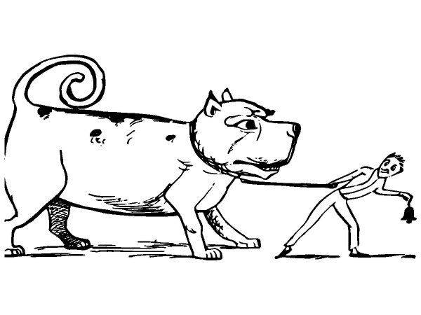 Животные 3435 Животные 3435