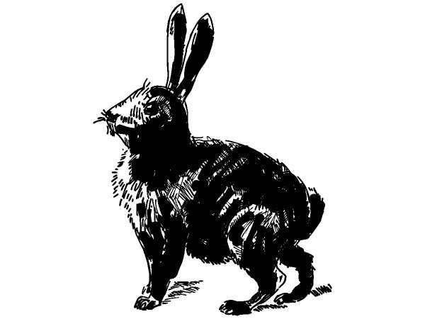 Животные 423