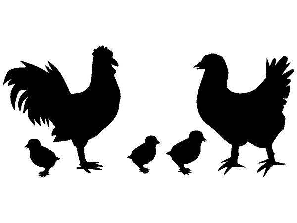 Животные 2545