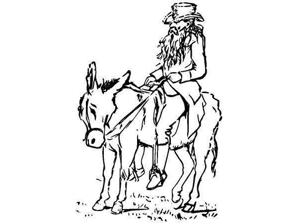 Животные 2749