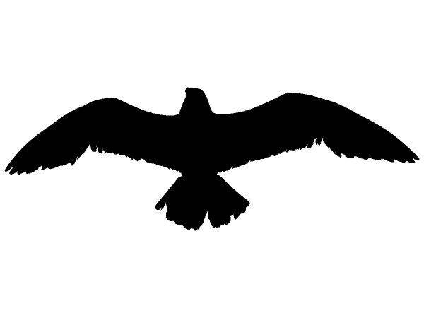 Животные 4249