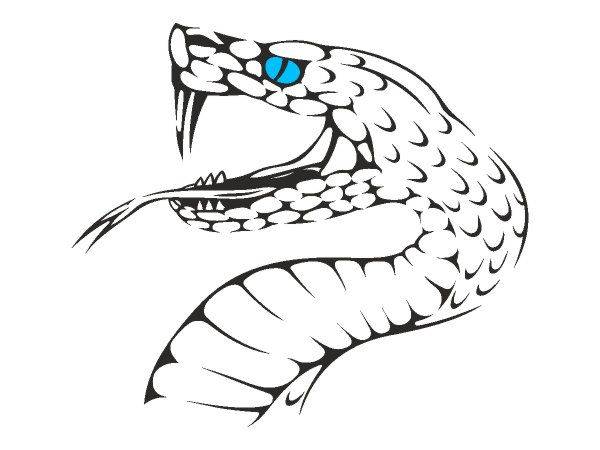 Татуировка 764