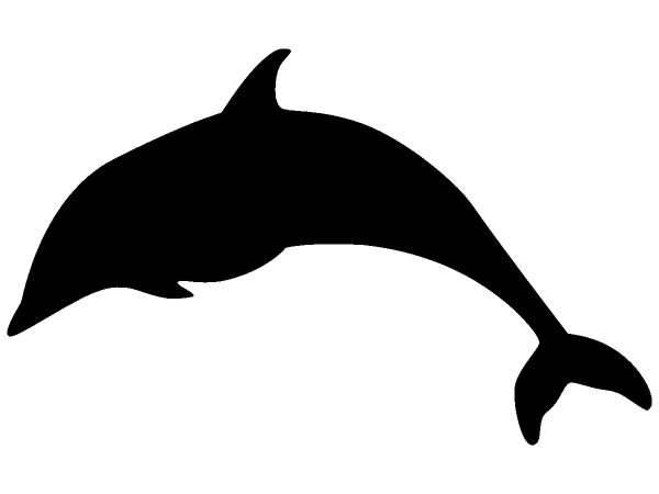 Животные 160