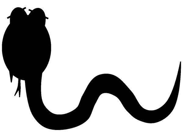 Животные 1530