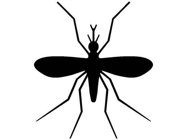 Животные 1374