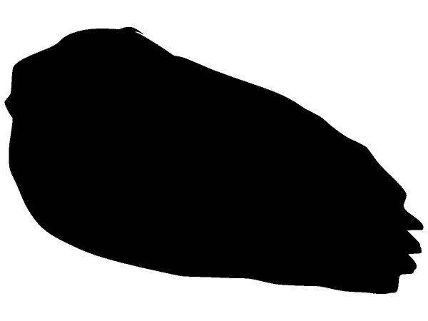 Животные 2082