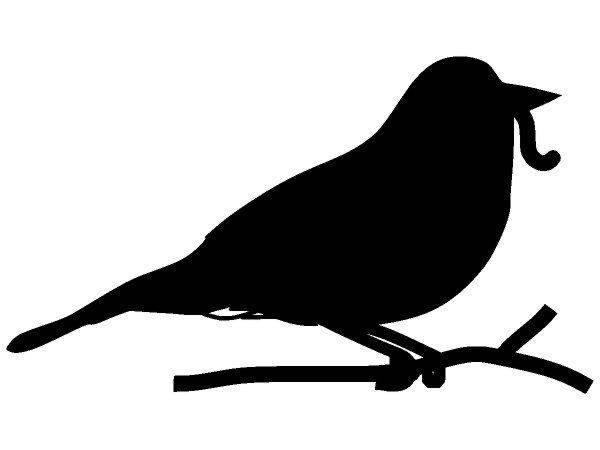 Животные 1616