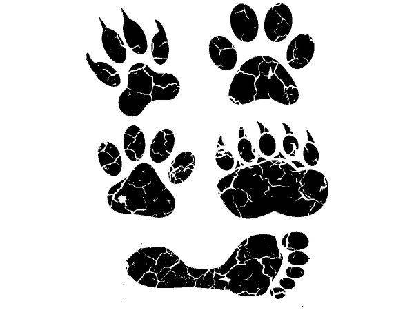 Животные 4076 Животные 4076