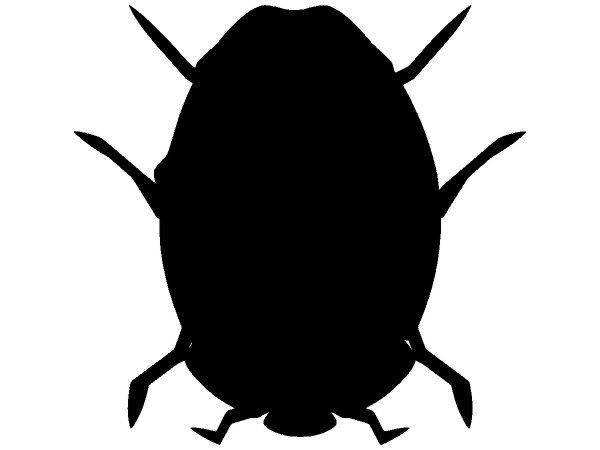 Животные 3054