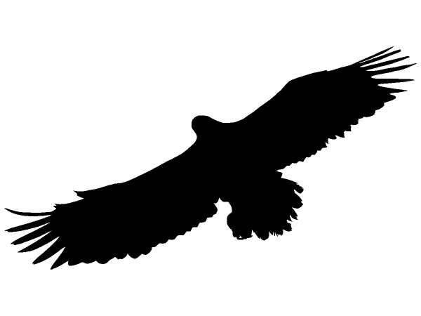 Животные 1211