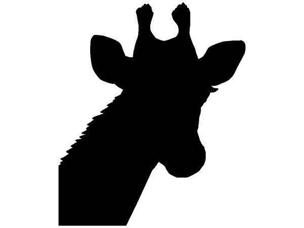 Животные 2717 Животные 2717