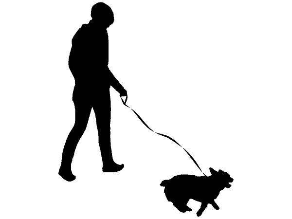 Животные 3673 Животные 3673