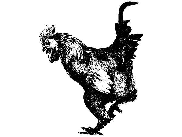 Животные 3708