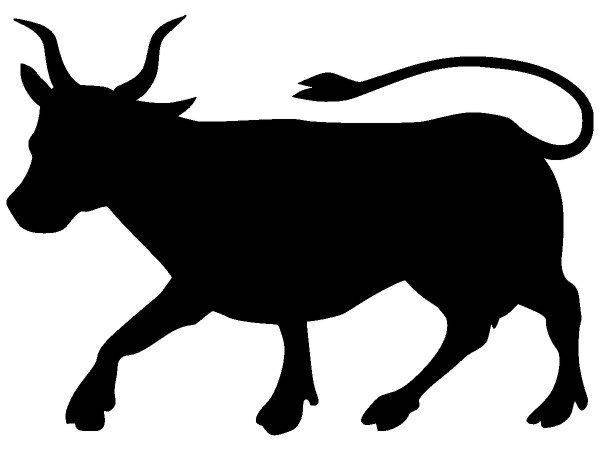 Животные 3663 Животные 3663