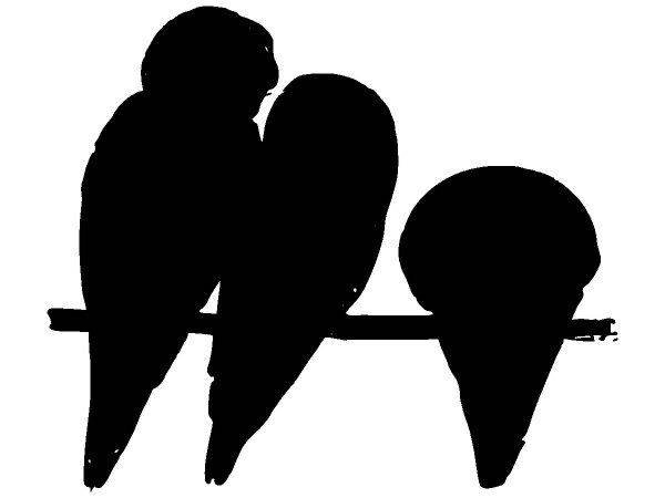 Животные 3895 Животные 3895