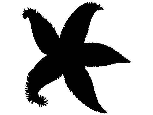 Животные 3847