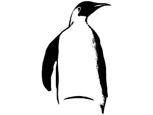 Животные 446