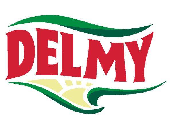 Delmy logo Delmy logo