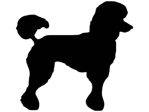 Животные 3125 Животные 3125