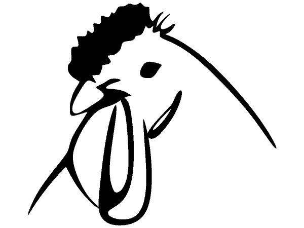 Животные 3697 Животные 3697