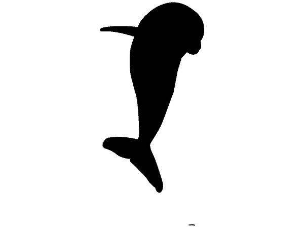 Животные 1182