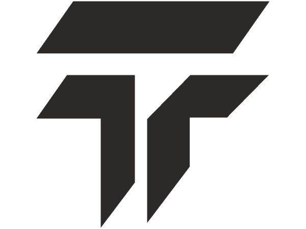 Gruppo Todini logo Gruppo Todini logo