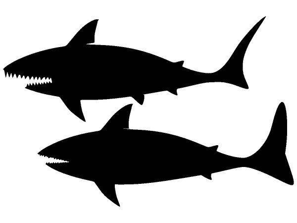 Животные 2384 Животные 2384